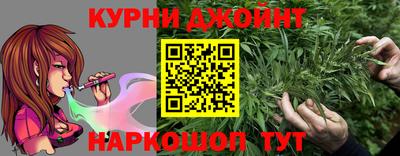 сатива Коммунар