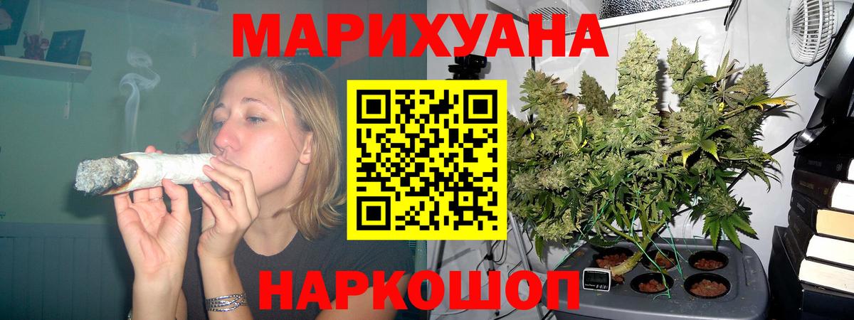 Канабис сатива Кашира